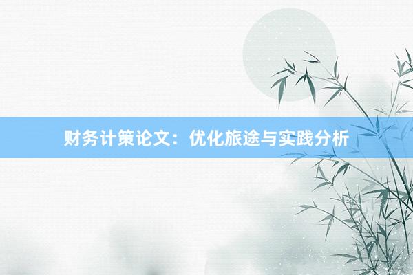 财务计策论文：优化旅途与实践分析