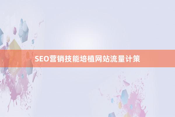 SEO营销技能培植网站流量计策